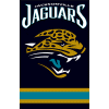 [Jaguars Banner]
