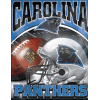 [Panthers Banner]
