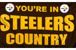 [You're in Steelers Country Flag]