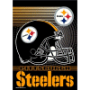 [Steelers Garden Banner]