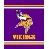 [Vikings Banner]