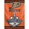 [2007 Stanley Cup Banner]
