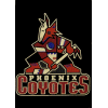 [Phoenix Coyotes Banner]
