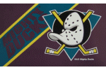 [Anaheim Mighty Ducks Flag]