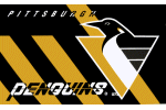 [Pittsburgh Penguins Flag]