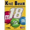 Kyle Busch Banner