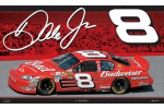 Dale Earnhardt Jr. Flag