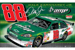 Dale Earnhardt Jr. Flag