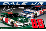 Dale Earnhardt Jr. Flag