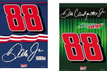 Dale Earnhardt Jr. Banner