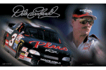 Dale Earnhardt Sr. Flag