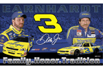 Dale Earnhardt Sr/Jr Wrangler Flag