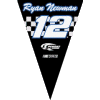 Ryan Newman Party Pennant