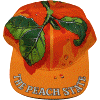 [Georgia Peach State Hat]