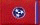 Tennessee flag patch