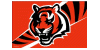 Team Flags
