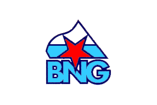 [Galician Nationalist Bloc (Galicia, Spain)]