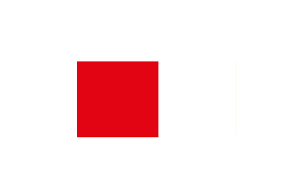 Hasil gambar untuk bendera kesultanan jambi
