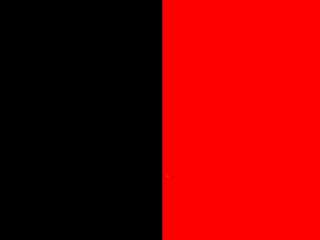 [Dravida Peravai Party Flag]
