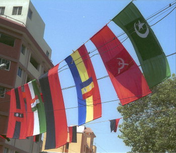 [PMK, Pattali Makkal KatchiRevolutionary Socialist Party Flag]