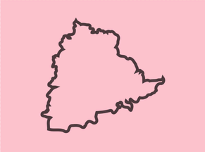 [Telangana Rashtra Samithi Flag]