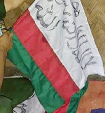 Arakan Rohingya Salvation Army, Myanmar