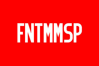 Ministry of the Environment Flag