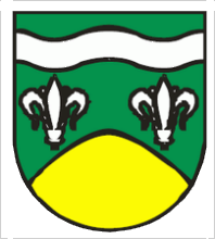 [Krzymów coat of arms]