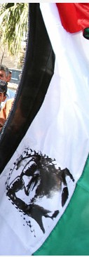 [Palestinian Flag]
