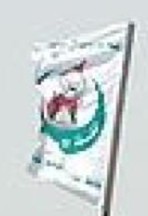 [Hamas Youth Movement (Palestine)]