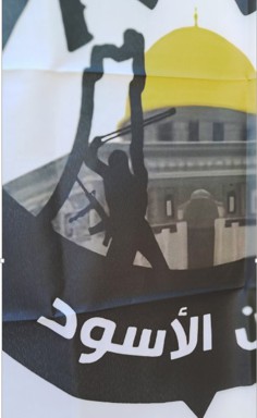 [Lion's Den militia]