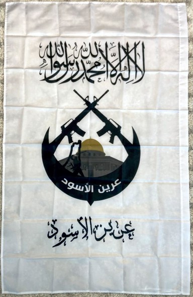 [Lion's Den militia]