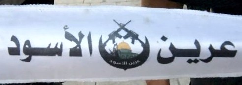 [Lion's Den militia]