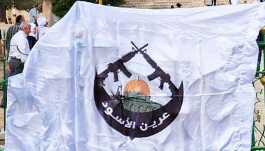 [Lion's Den militia]