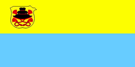 [Flag of SNS]