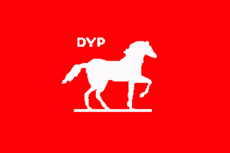 [Right Way Party flag]