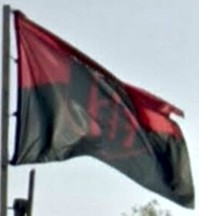 [Georgian National Legion flag]