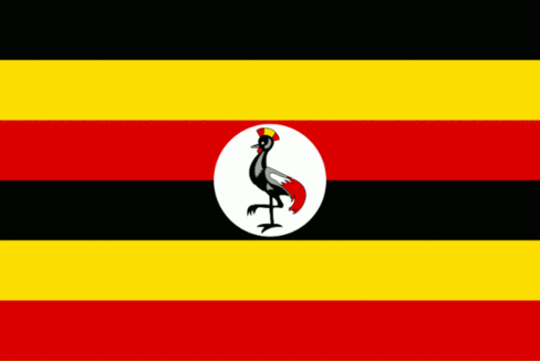 Image result for uganda flag