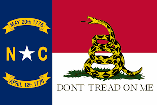 [Gadsden-State flag]