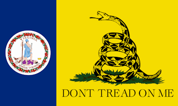 [Gadsden-State flag]