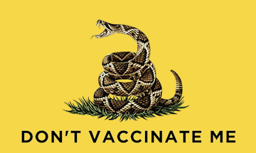 [Gadsden-State flag]