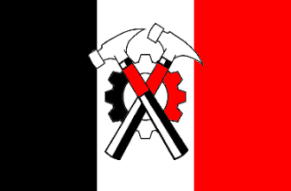 [Hammerskin Nation flag]