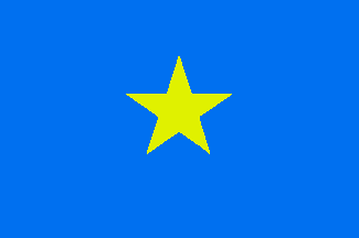 tx flag