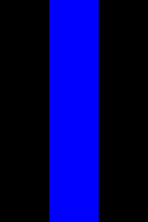Police flags (U.S.)