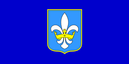fleur de lis