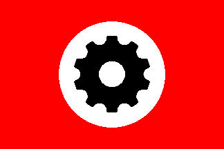 neo-nazi flag