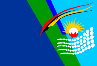 [1995 Flag design for the Province of Chaco]
