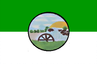 [Capiovi municipal flag]