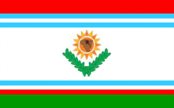 [Municipality of Carrizales flag]
