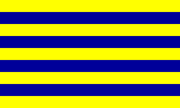 [CARC flag 1]
